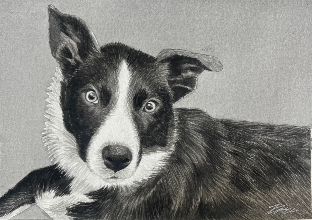 Animal portrait by Kari Koleva