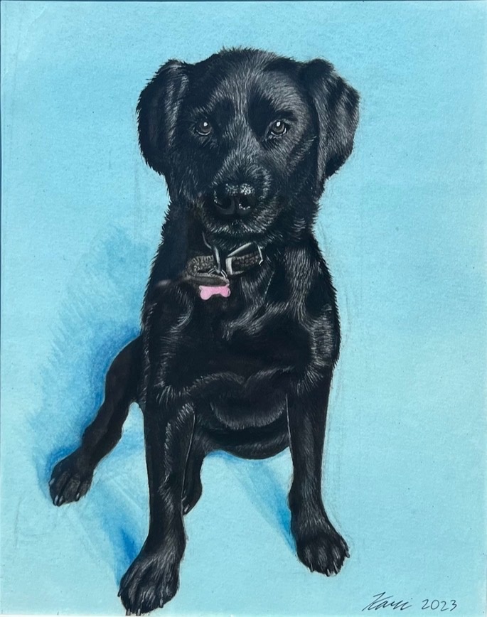 Animal portrait by Kari Koleva